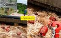 شدید بارش، تین ہزار ایل پی جی سلنڈر پانی میں بہہ گئے